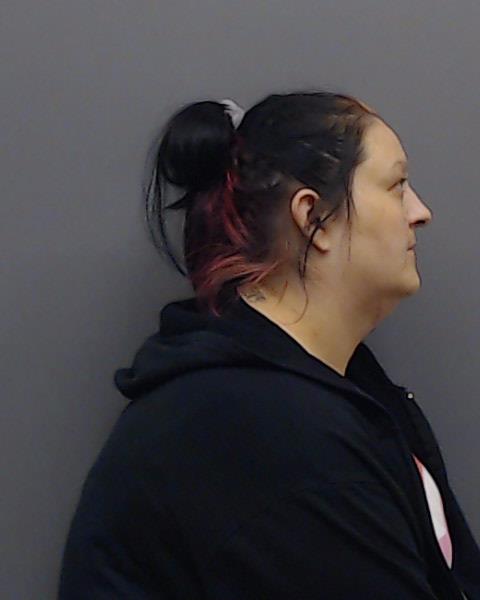 SILVA, AMBER NICOLE booking photo