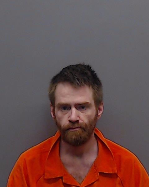 TOWNLEY, DAVID AARON booking photo