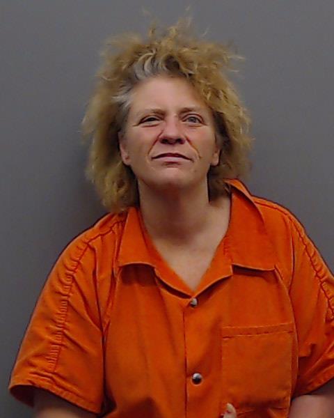 MEJIA, ANDREA LYNN booking photo