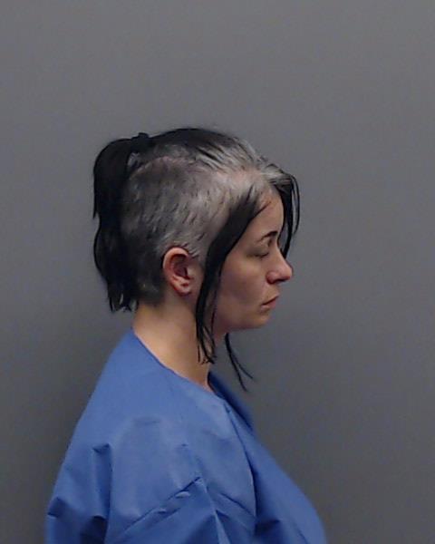 RODRIGUEZ, TAMMY ANN booking photo