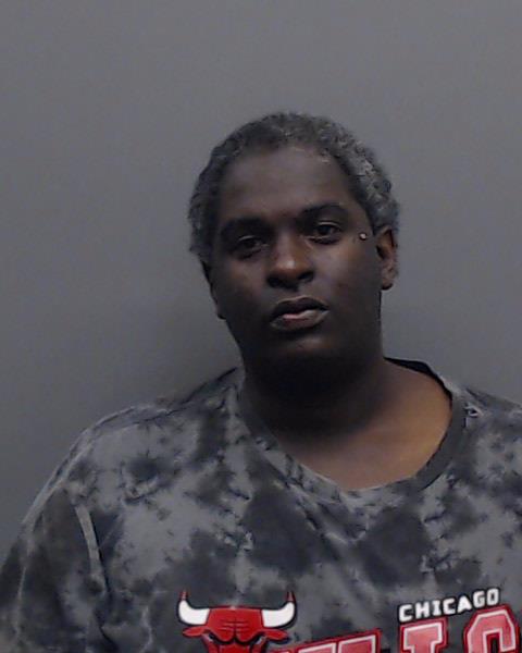 WADE, GREGORY ALAN, Jr. booking photo