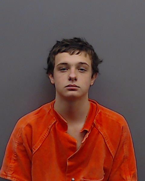 SHELTON, TRACE booking photo