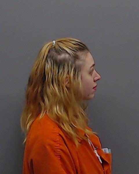 CLEGG, BRITTANY booking photo