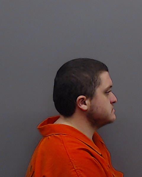 BROWN, BRYAN NATHANIEL booking photo