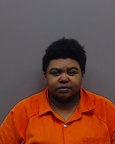 WILLIAMS, ASHLEY MARIE booking photo