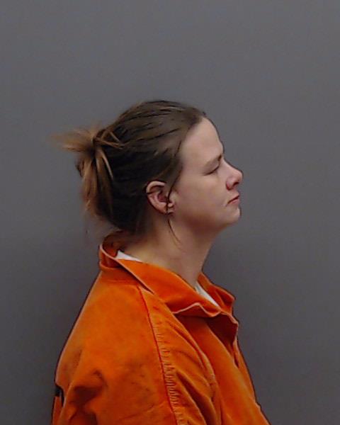 ALLEN, MARY LUCY booking photo