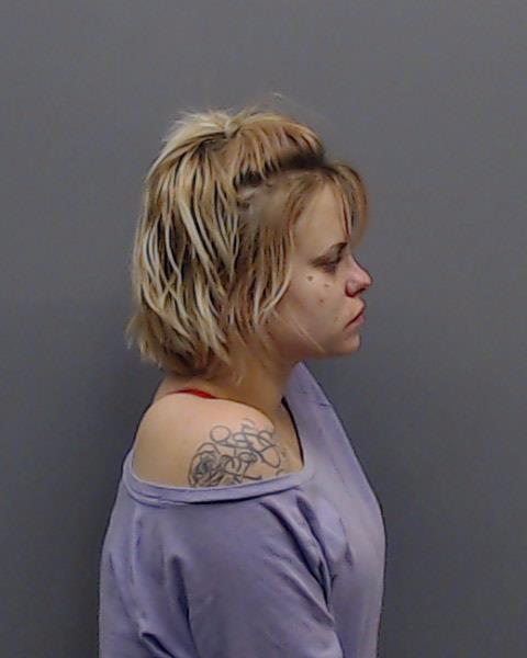 DAVIS, HANNAH ELIZABETH booking photo