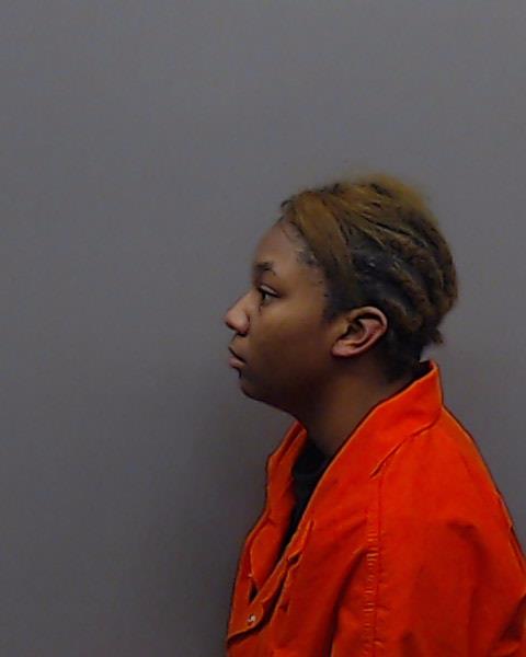 SESSION, TEAH MARIE booking photo