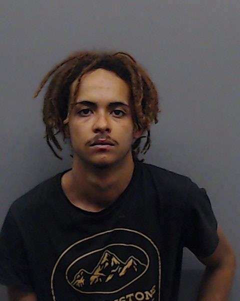 ROBINSON, TEVIN LEE booking photo