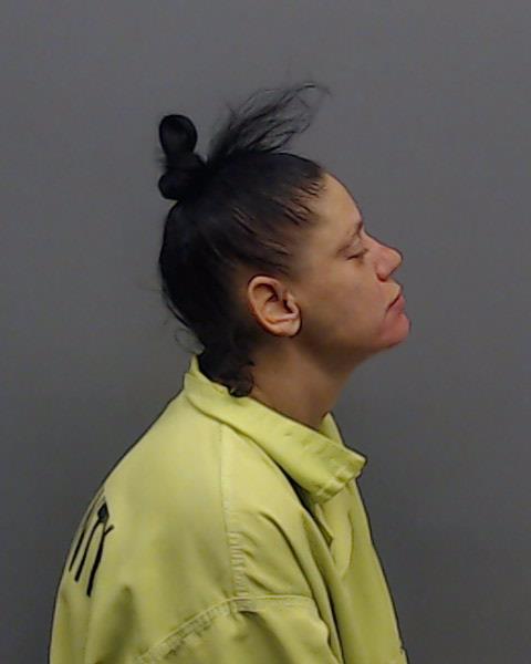 ANTHONY, ERICA LYNN booking photo