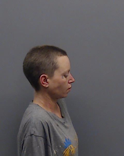 CARPENTER, ANGELEENA FAITH booking photo