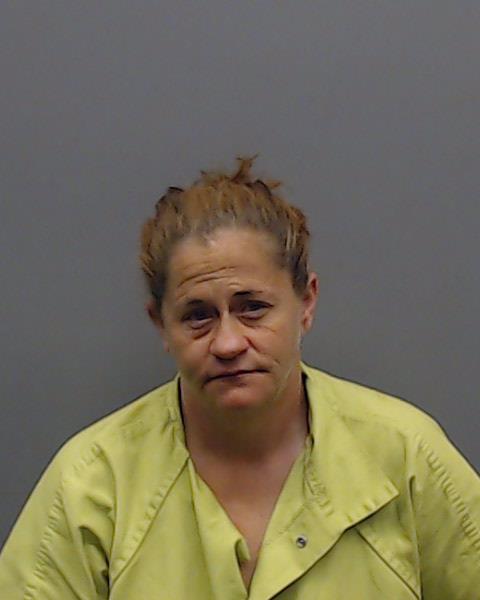 WILLIAMS, HOLLY ANN booking photo