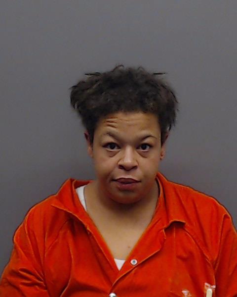 WILLIAMSON, TERESA PATRICE booking photo