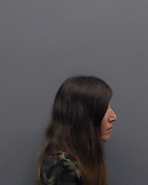 DICKESON, CHRISSY booking photo