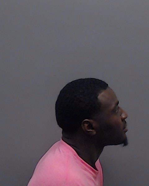 WHITE, TERRENCE booking photo