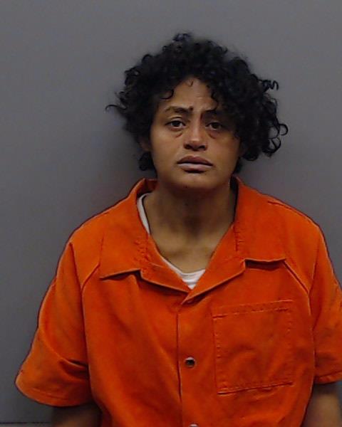 CRUZ, SONIA booking photo