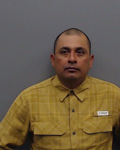 MEDINA, VICENTE booking photo