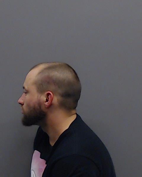 LEDESMA, BLAKE ELIAS booking photo