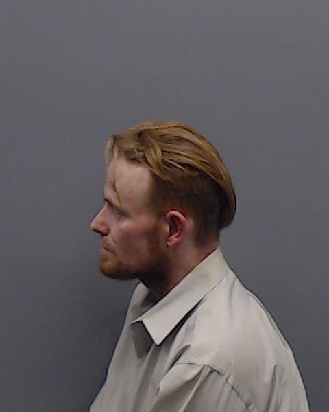 WALLACE, STEPHEN LONGINO booking photo