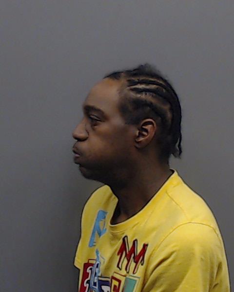 MARTIN, LYNN booking photo