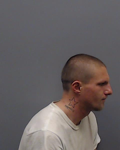 MINNEY, SAMUEL MADISON booking photo