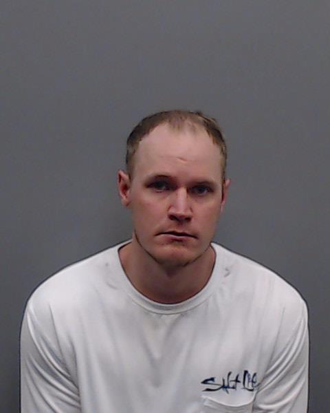 HAMILTON, NICKOLAS TAYLOR booking photo
