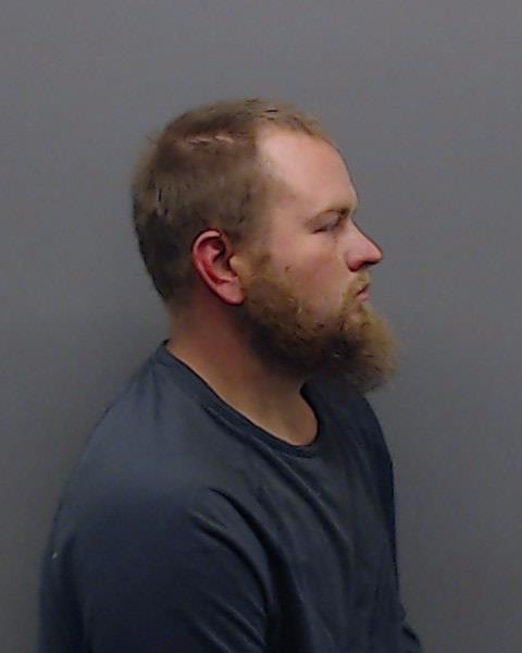 WILLIAMSON, MATT ANSON booking photo