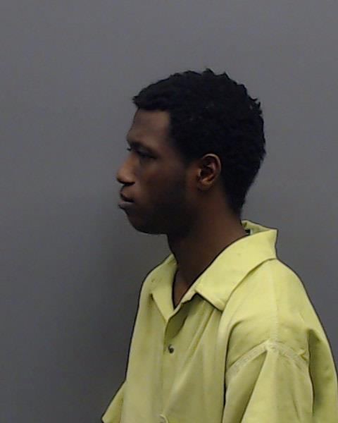 WILSON, PAUL DWIGHT booking photo