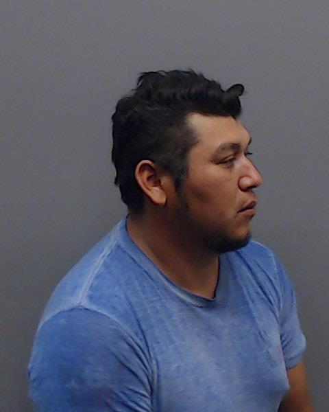 HERNANDEZ-RUIZ, DELFINO booking photo