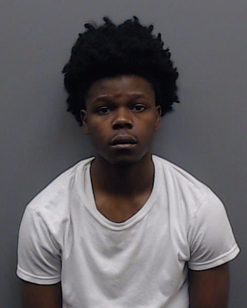 JOHNSON, TREVUON DASHUAN booking photo
