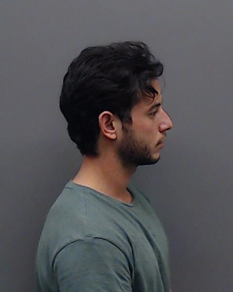 ARENAL SADA, DIEGO booking photo