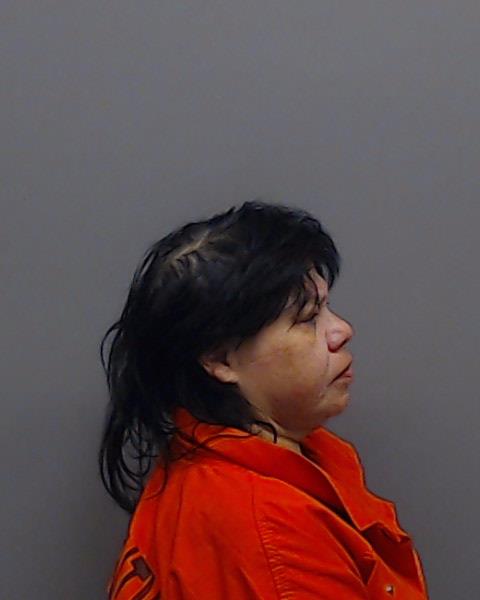 RAMIREZ-SANCHEZ, IRENE booking photo