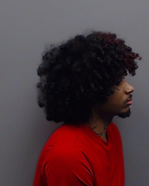 FULTON, TYSON TYRIELL booking photo