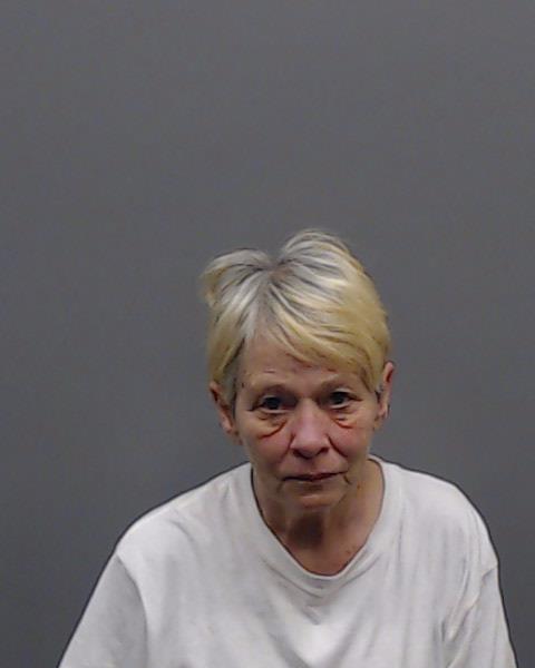 NORTH, PAMELA JEAN booking photo