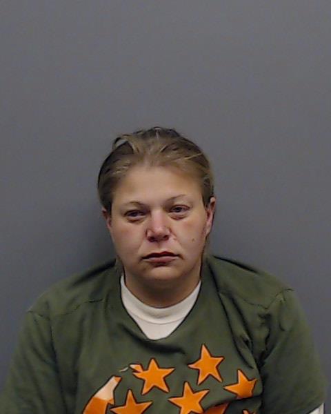 FLORES, AMBER LYNETTE booking photo