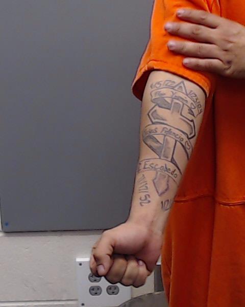 ESCOBEDO, MARCELO FAUSTINO booking photo