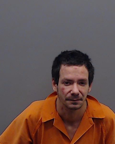 MCGUIGAN, DARIUS STEVEN booking photo