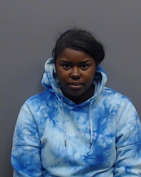 LEE, JAMIRA SHANTELL booking photo