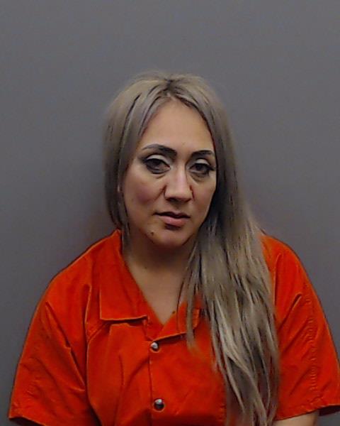 HERNANDEZ, EDELMIRA booking photo