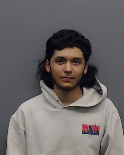 MICHEL, ORLANDO booking photo