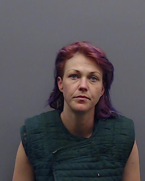 FAGAN, APRIL CHRISTINE booking photo