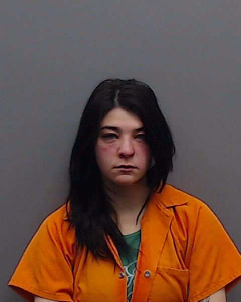 WILLIAMS, BRIANNA NICOLE booking photo