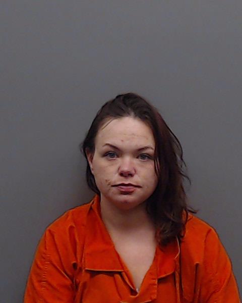 JONES, ANDREA LYNN booking photo