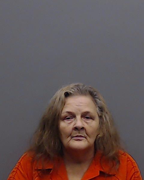 EISENMENGER, JANICE LYNN booking photo
