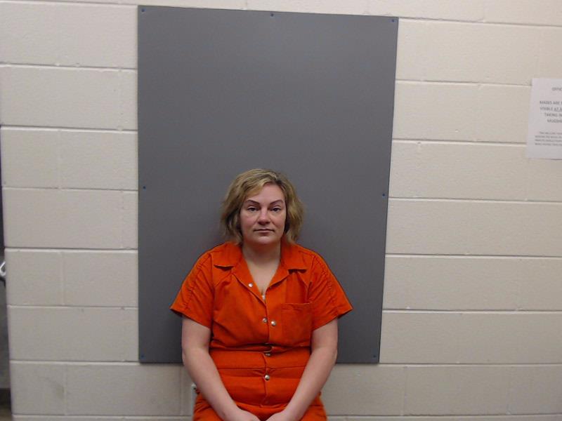 WELSH, NIKKI booking photo