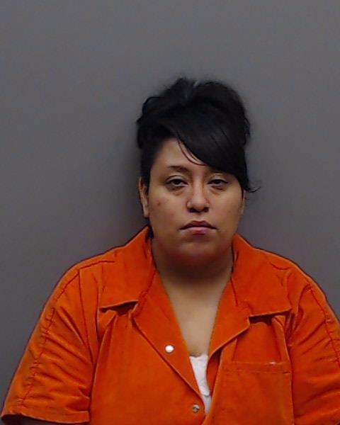 ORTEGA, MIRELLE ANN booking photo