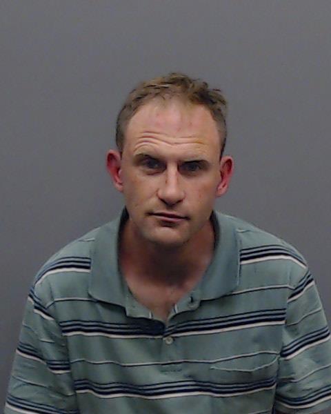 WELLS, THOMAS DALE booking photo
