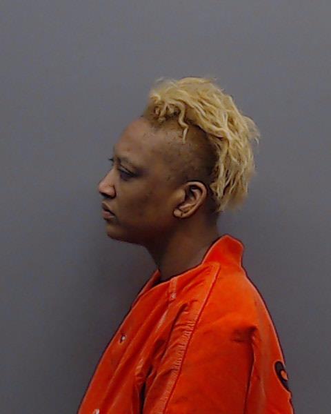 TENNISON, SHERENA SHUNTEE booking photo