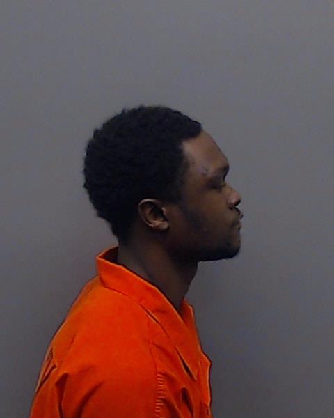 ROBINSON, JORDAN MICHAEL booking photo