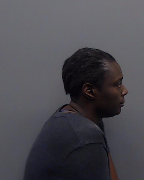 ABBEY, PRISCILLA ANN booking photo